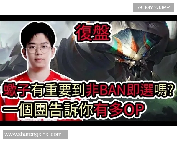 赛后复盘WE与RNG对决中的技术分析与战术探讨